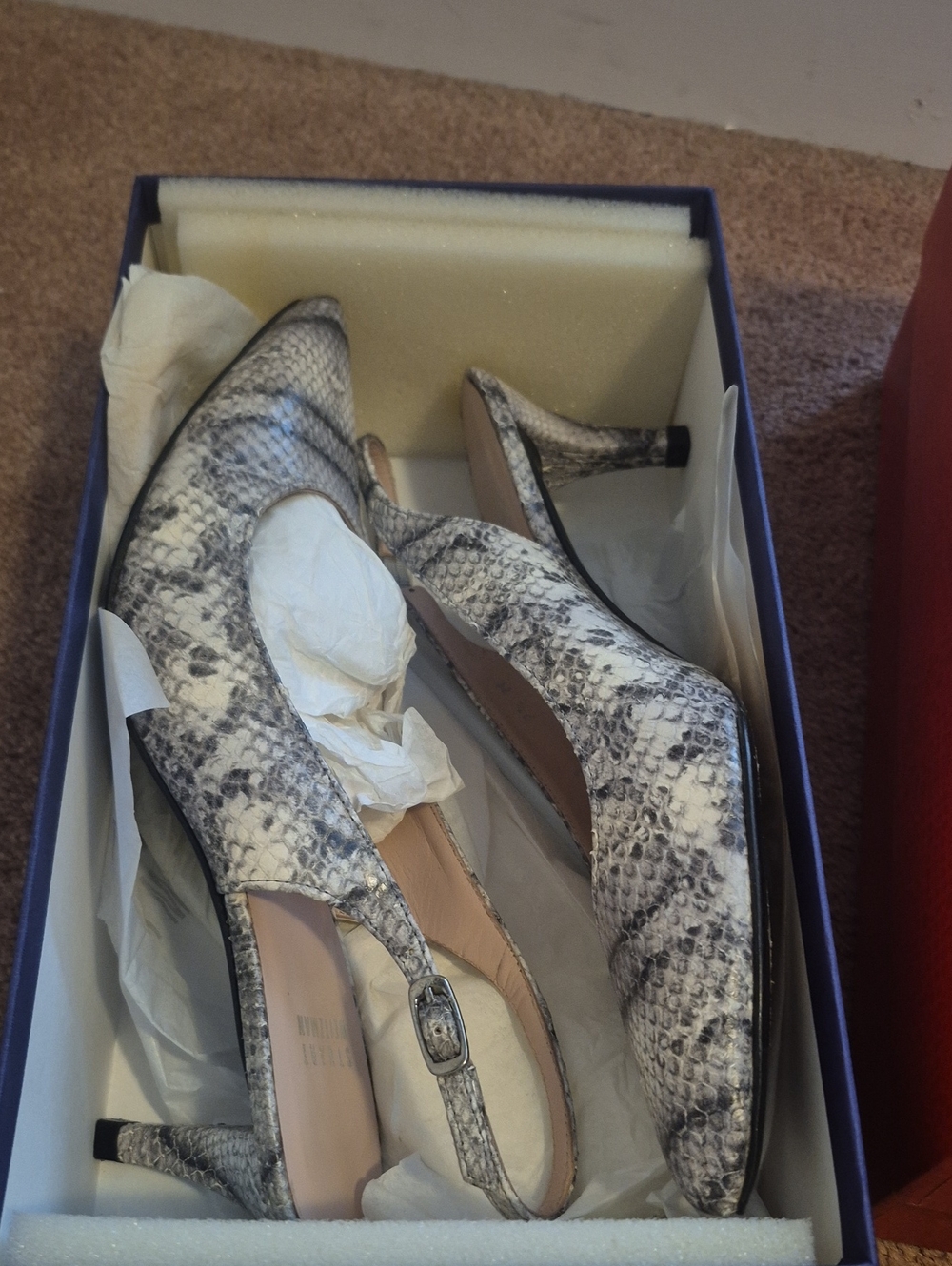 Stuart Weitzman Ombre Sling Back Heels
